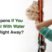 What Happens If You Don't Deal with Water Damage Right Away? blog post header image