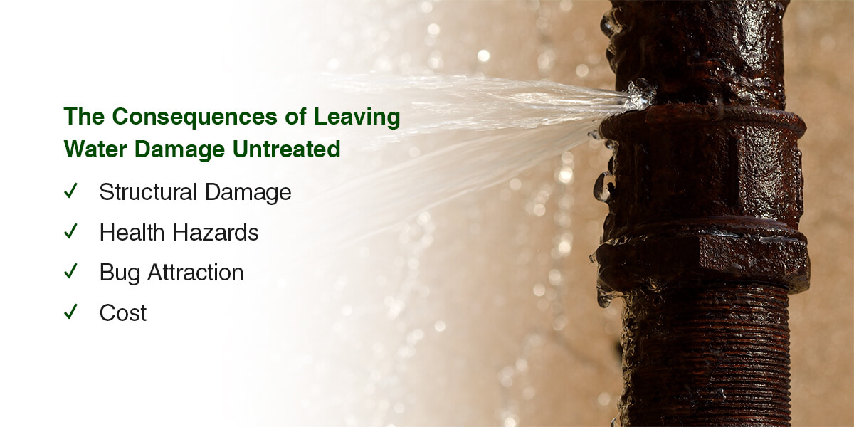 the consequences of leaving water damage untreated