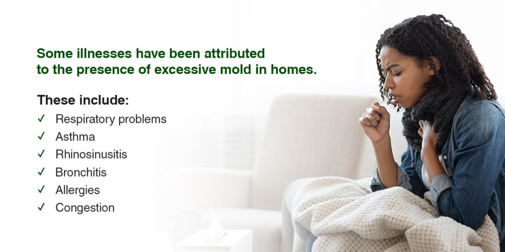 Illnesses have been attributed to the presence of excessive mold in homes